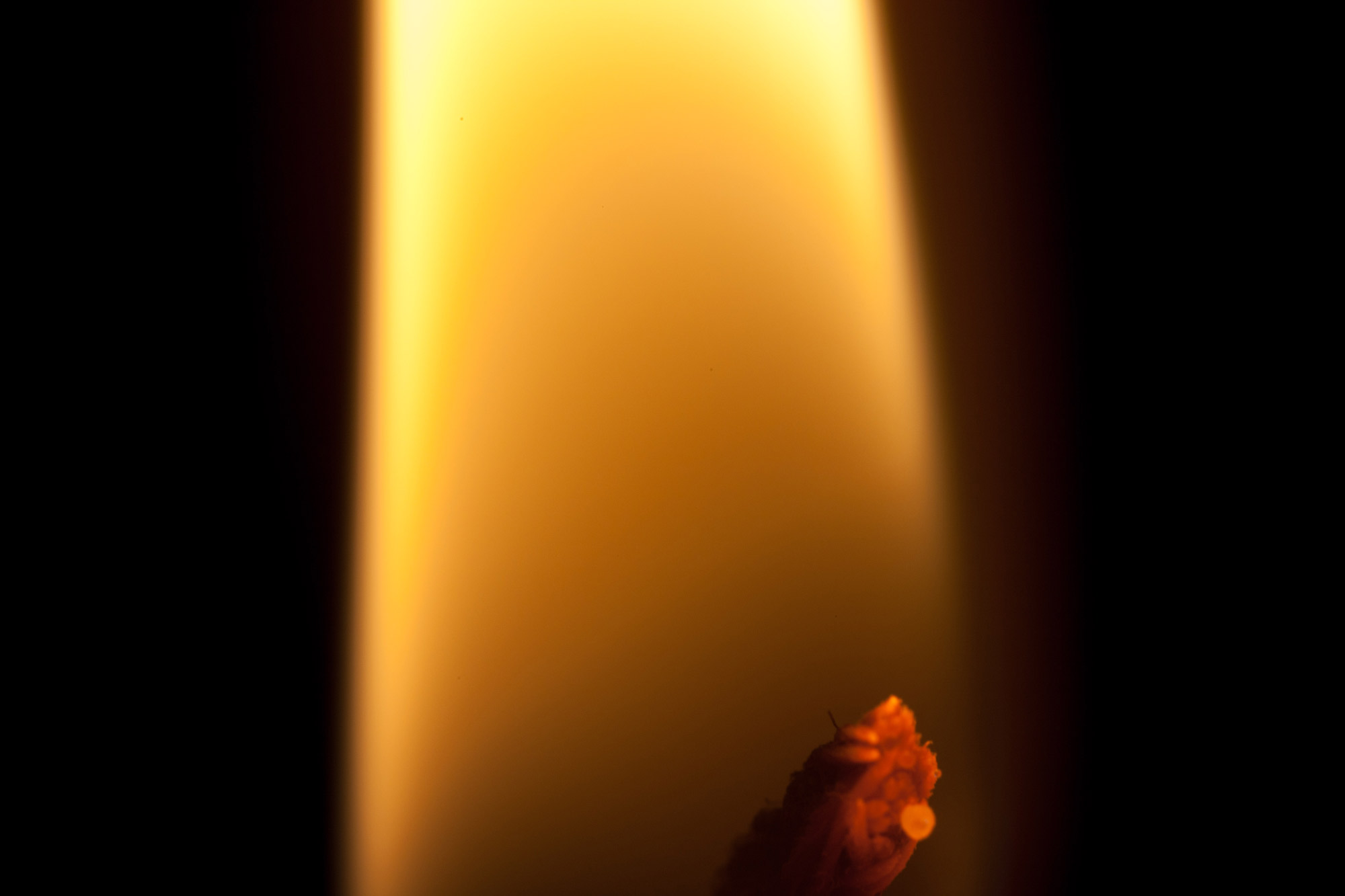 Flamme d'une bougie, exemple de réaction de combustion